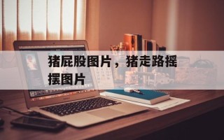 猪屁股图片，猪走路摇摆图片