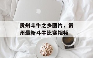 贵州斗牛之乡图片，贵州最新斗牛比赛视频