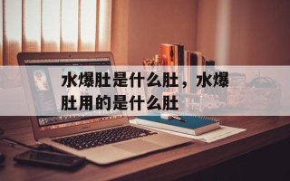水爆肚是什么肚，水爆肚用的是什么肚