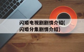 闪婚电视剧剧情介绍(闪婚分集剧情介绍)