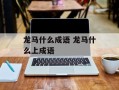 龙马什么成语 龙马什么上成语