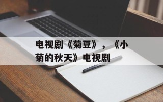 电视剧《菊豆》，《小菊的秋天》电视剧