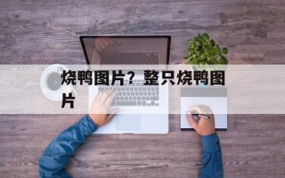 烧鸭图片？整只烧鸭图片
