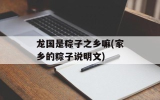 龙国是粽子之乡嘛(家乡的粽子说明文)
