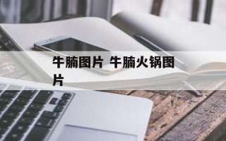 牛腩图片 牛腩火锅图片