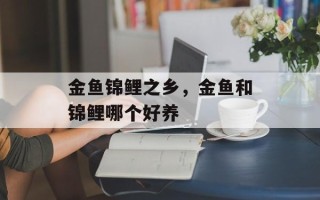 金鱼锦鲤之乡，金鱼和锦鲤哪个好养