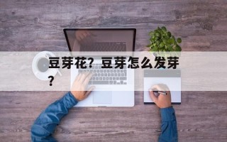 豆芽花？豆芽怎么发芽？