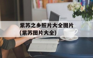 紫苏之乡照片大全图片(紫苏图片大全)
