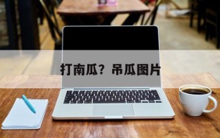 打南瓜？吊瓜图片