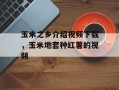 玉米之乡介绍视频下载，玉米地套种红薯的视频