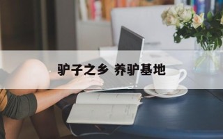驴子之乡 养驴基地