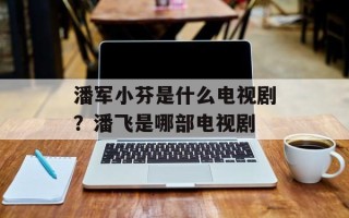 潘军小芬是什么电视剧？潘飞是哪部电视剧