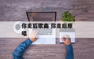 你走后歌曲 你走后原唱