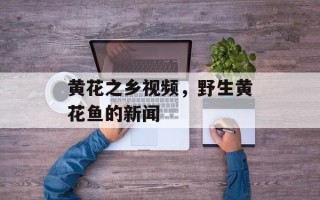 黄花之乡视频，野生黄花鱼的新闻
