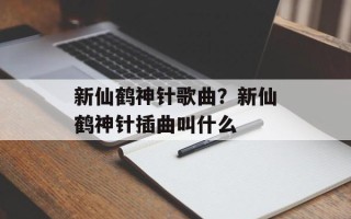 新仙鹤神针歌曲？新仙鹤神针插曲叫什么