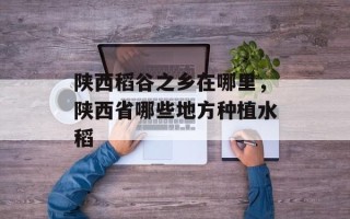 陕西稻谷之乡在哪里，陕西省哪些地方种植水稻