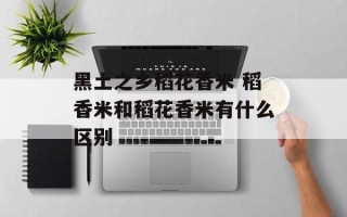 黑土之乡稻花香米 稻香米和稻花香米有什么区别