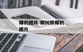 椰奶图片 椰树牌椰奶图片
