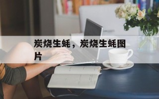 炭烧生蚝，炭烧生蚝图片