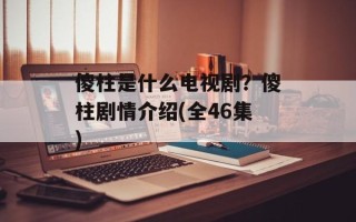 傻柱是什么电视剧？傻柱剧情介绍(全46集)