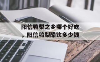 阳信鸭梨之乡哪个好吃，阳信鸭梨醋饮多少钱