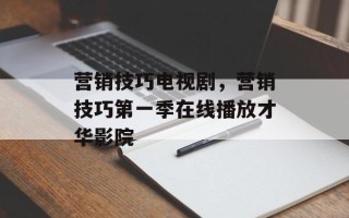 营销技巧电视剧，营销技巧第一季在线播放才华影院