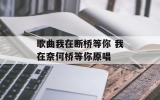 歌曲我在断桥等你 我在奈何桥等你原唱