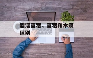 醋溜苜蓿，苜蓿和木须区别