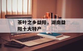 茶叶之乡益阳，湖南益阳十大特产