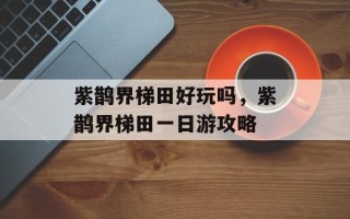 紫鹊界梯田好玩吗，紫鹊界梯田一日游攻略