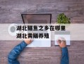 湖北鳝鱼之乡在哪里 湖北黄鳝养殖