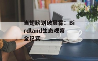 当翅膀划破晨雾：Birdland生态观察全纪实