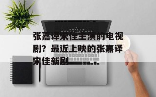 张嘉译宋佳主演的电视剧？最近上映的张嘉译宋佳新剧
