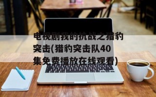 电视剧我的抗战之猎豹突击(猎豹突击队40集免费播放在线观看)