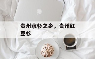 贵州水杉之乡，贵州红豆杉