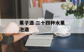 果子酒 二十四种水果泡酒