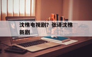 沈樵电视剧？张译沈樵新剧
