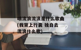 哦流浪流浪是什么歌曲(我背上行囊 独自去流浪什么歌)