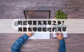 附近哪里有海草之乡？海里有哪些能吃的海草