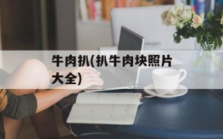 牛肉扒(扒牛肉块照片大全)