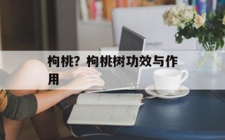 枸桃？枸桃树功效与作用