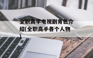 全职高手电视剧角色介绍(全职高手各个人物)