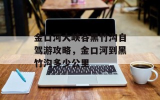 金口河大峡谷黑竹沟自驾游攻略，金口河到黑竹沟多少公里