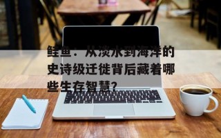 鲑鱼：从淡水到海洋的史诗级迁徙背后藏着哪些生存智慧？