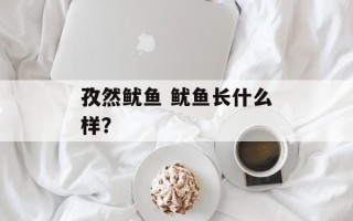 孜然鱿鱼 鱿鱼长什么样？
