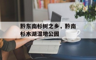 黔东南杉树之乡，黔南杉木湖湿地公园
