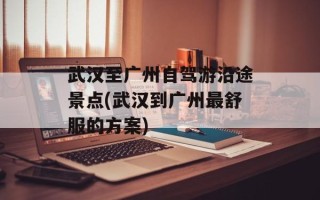 武汉至广州自驾游沿途景点(武汉到广州最舒服的方案)