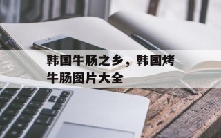 韩国牛肠之乡，韩国烤牛肠图片大全