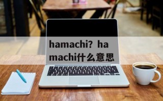 hamachi？hamachi什么意思