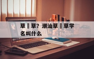 草粿草？潮汕草粿草学名叫什么